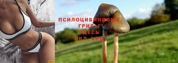 СК Беломорск