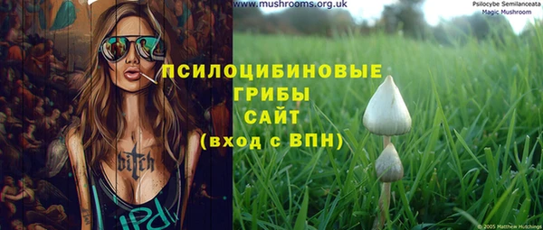 каннабис Белокуриха