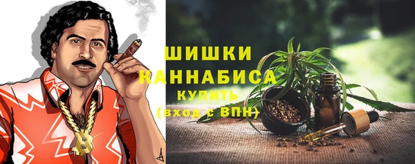 гашик Белоозёрский
