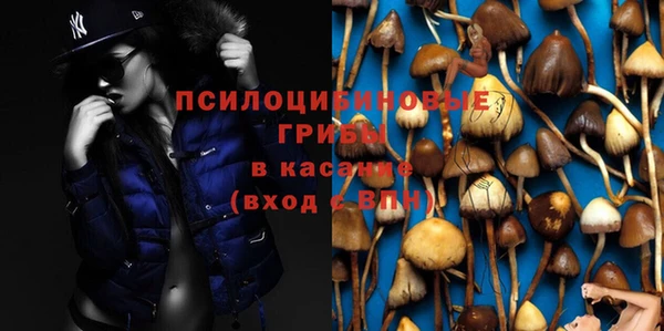 гашик Белоозёрский